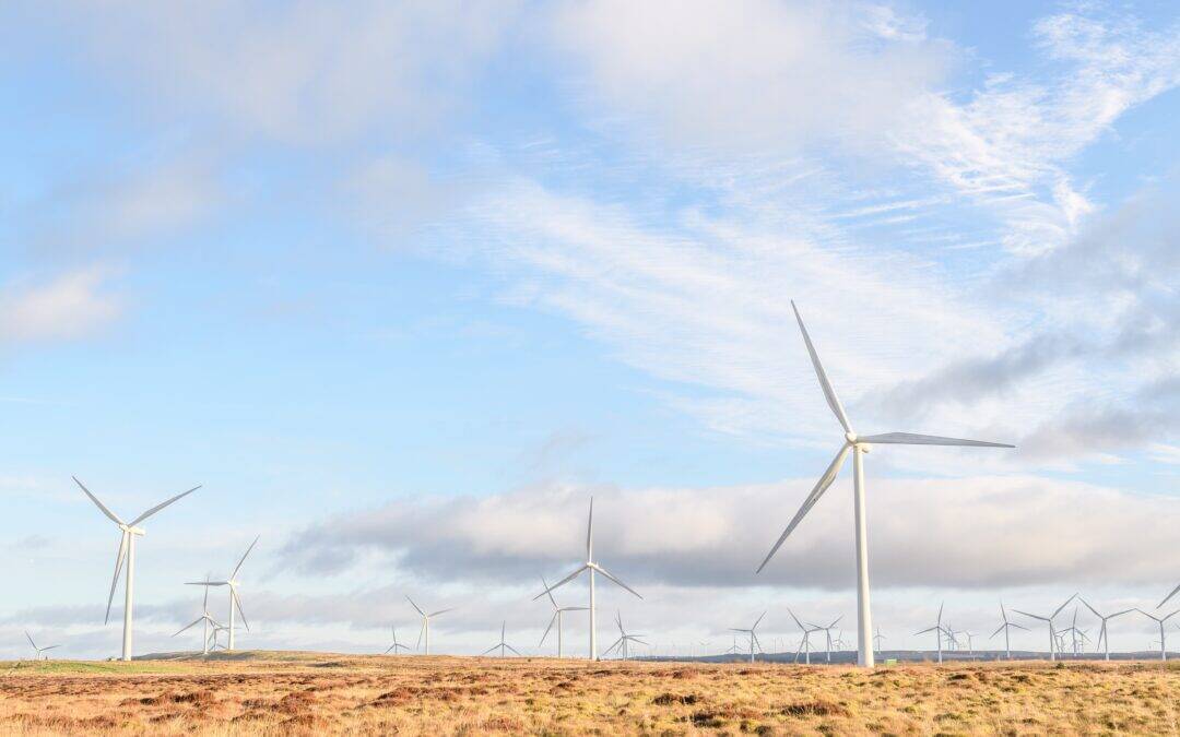 Valuation of Wind Farms: Just a Breeze?