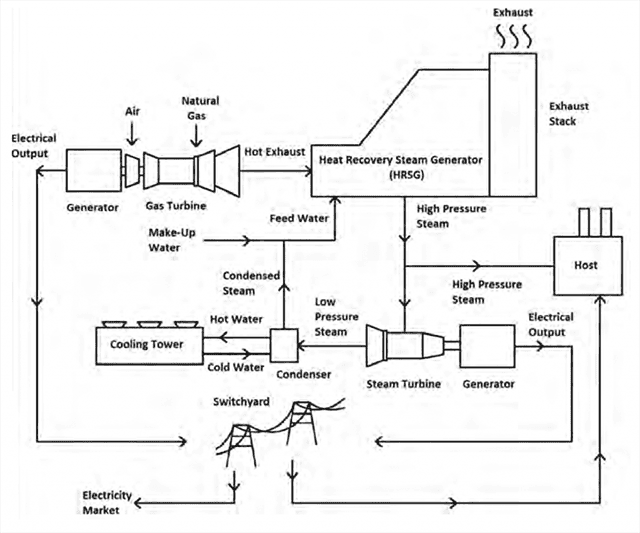 Cogeneration Operations and Economics 