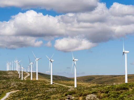 Wind Farm Valuation: From Novelty to Mainstream