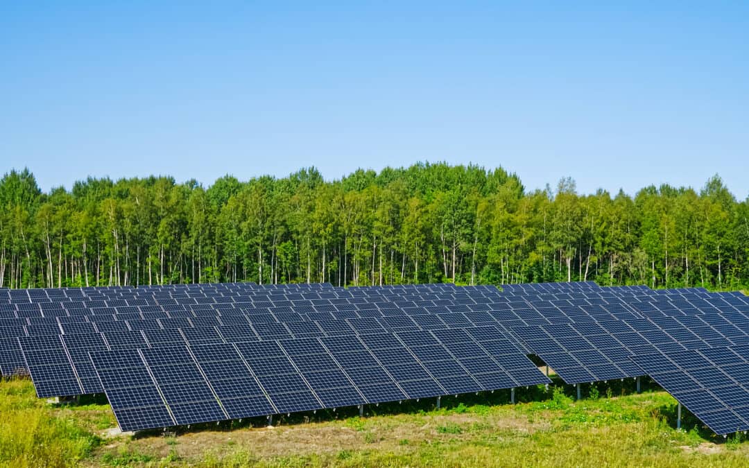 Study finds record-high solar project pipeline and capacity additions