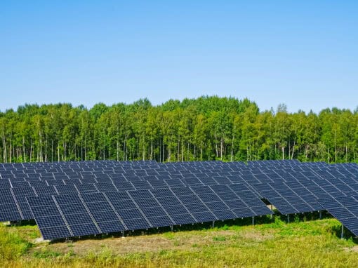 Study finds record-high solar project pipeline and capacity additions