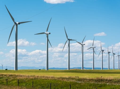 Wind capacity additions set a new record