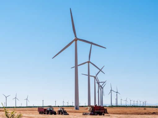 US sets new wind generation record